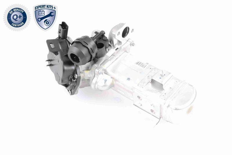 VEMO V22-63-0004 AGR-Ventil mit Dichtung, mit K&uuml;hler f&uuml;r CITRO&Euml;N