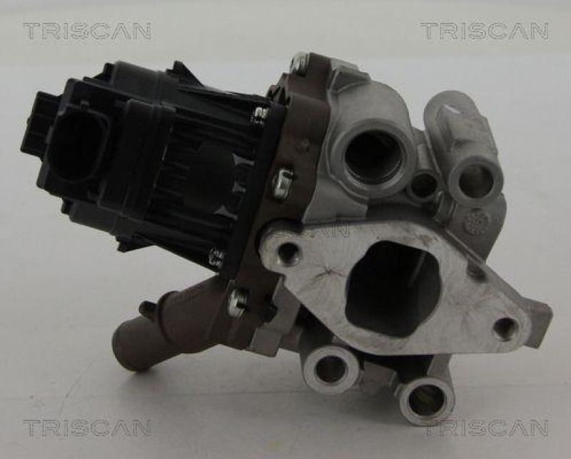 TRISCAN 8813 15208 Agr Ventil f&uuml;r Fiat