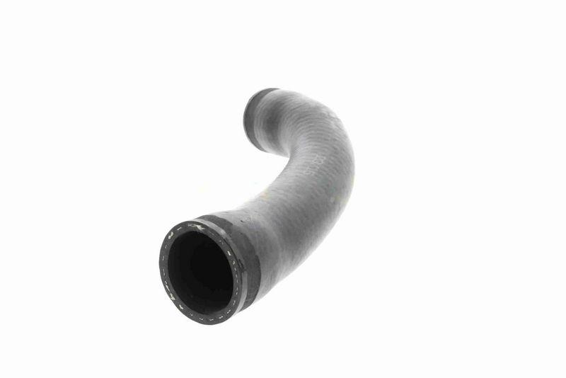 VAICO V10-3811 Ladeluftschlauch für VW