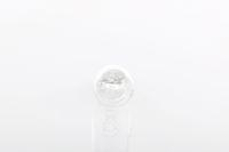 Bosch 1 987 302 249 Kfz-Glühlampe