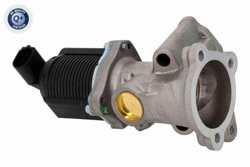 VEMO V24-63-0005-1 AGR-Ventil mit Dichtung für ALFA ROMEO