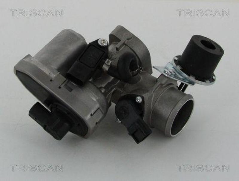 TRISCAN 8813 16202 Agr Ventil f&uuml;r Ford