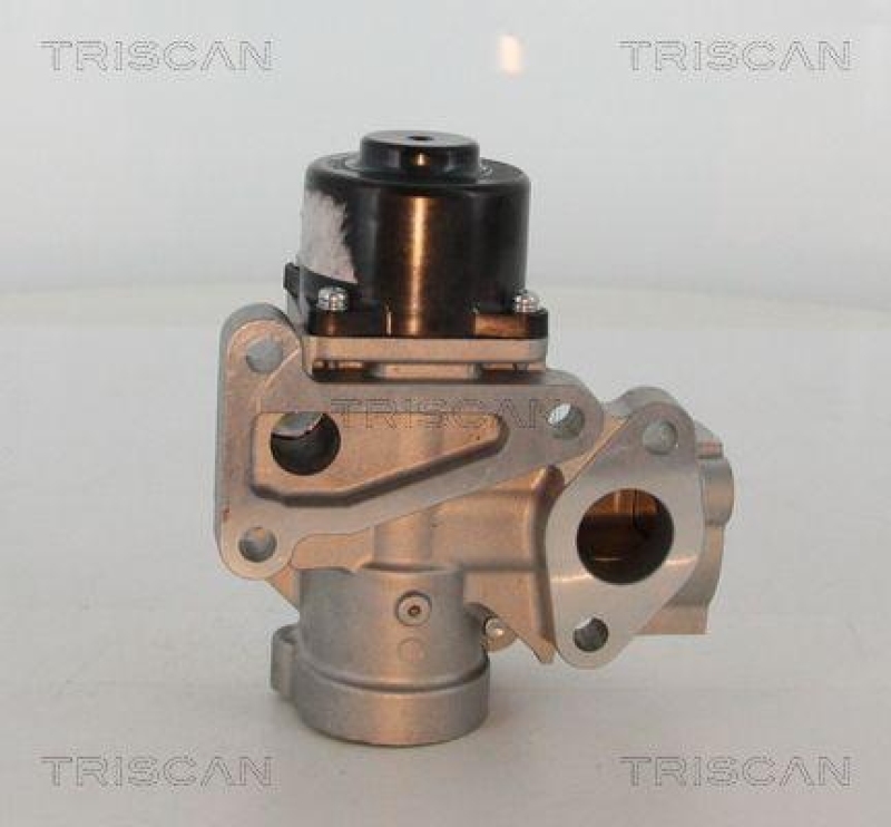 TRISCAN 8813 16203 Agr Ventil f&uuml;r Ford