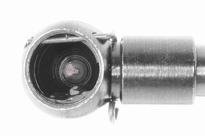 ACKOJA A70-0194 Gasfeder, Koffer-/Laderaum für TOYOTA