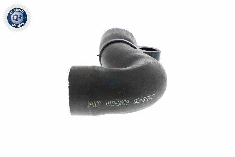 VAICO V10-3829 Ladeluftschlauch f&uuml;r VW