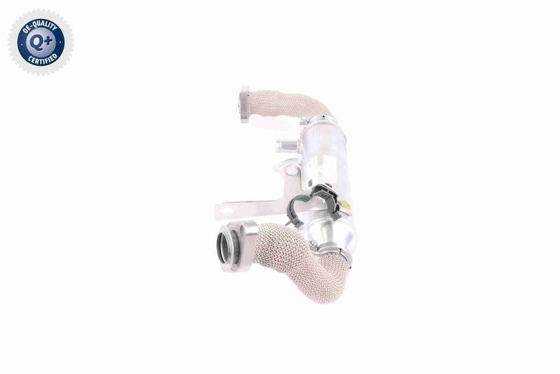 VEMO V24-63-0020 K&uuml;hler, Abgasr&uuml;ckf&uuml;hrung f&uuml;r FIAT