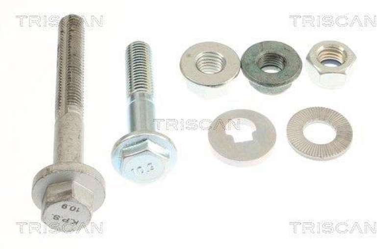 TRISCAN 8500 81519 Querlenker f&uuml;r Tesla