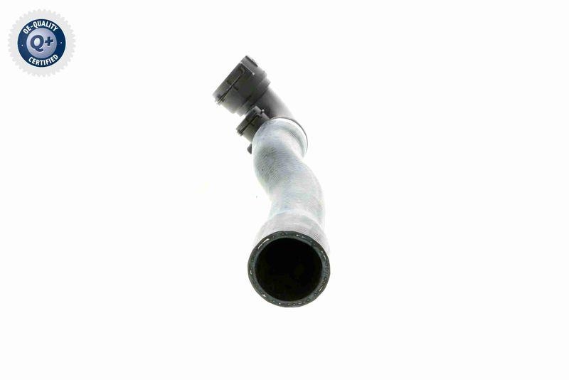 VAICO V20-1925 K&uuml;hlerschlauch f&uuml;r BMW