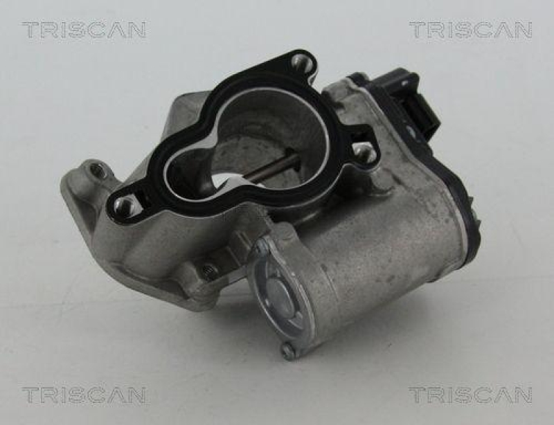 TRISCAN 8813 25203 Agr Ventil f&uuml;r Fiat