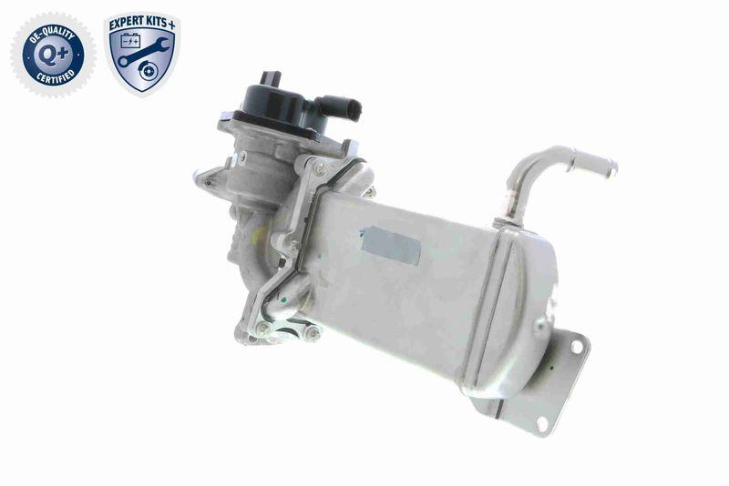 VEMO V10-63-0047 AGR-Ventil mit K&uuml;hler mit Dichtung f&uuml;r VW
