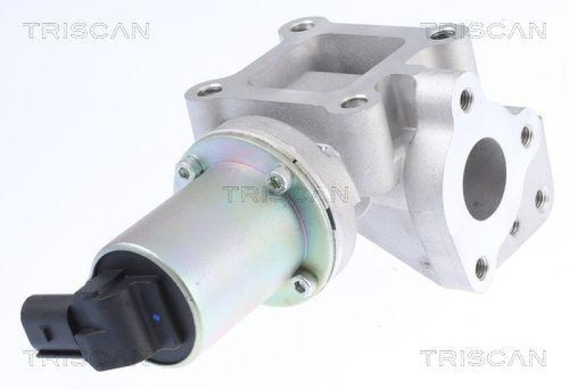 TRISCAN 8813 43015 Agr Ventil f&uuml;r Hyundai/Kia