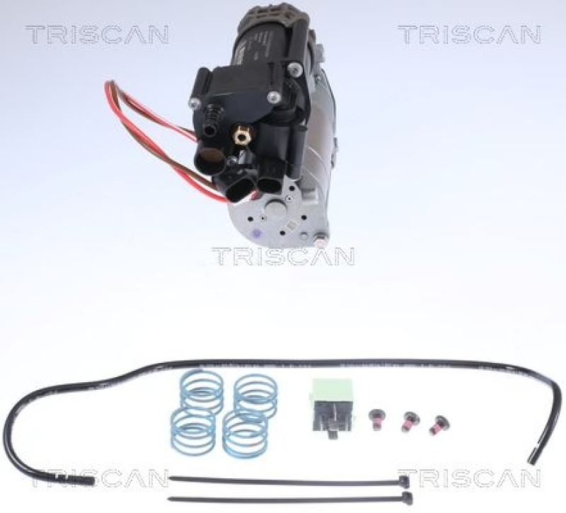 TRISCAN 8725 11101 Kompressor Luftfederung