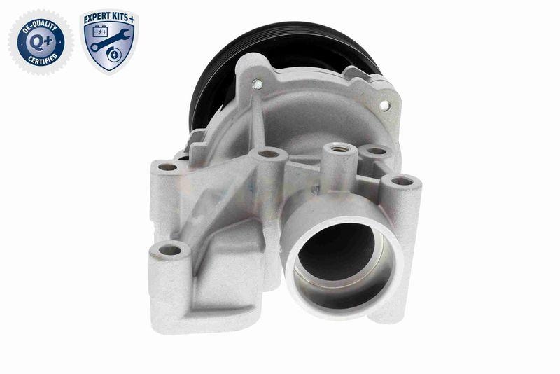 ACKOJA A53-0704 Wasserpumpe, Motorkühlung mit Dichtung für KIA