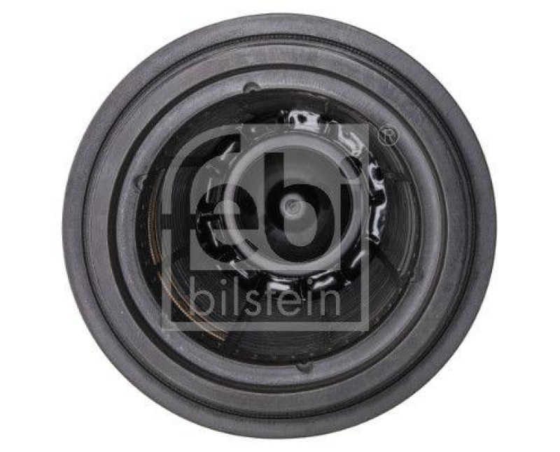 FEBI BILSTEIN 40548 Luftfilter für DAF