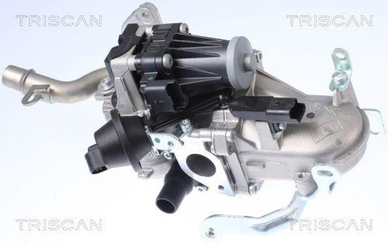 TRISCAN 8813 10106 Agr Ventil f&uuml;r Psa, Volvo, Ford