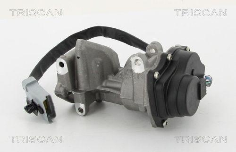 TRISCAN 8813 10202 Agr Ventil f&uuml;r Landrover Ford