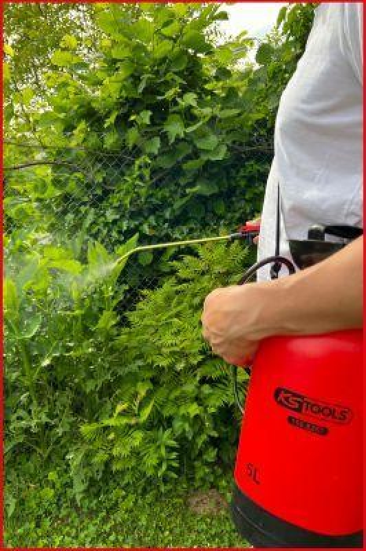 KS TOOLS 150.8261 Druck-Zerstäuber mit Trageriemen 5L