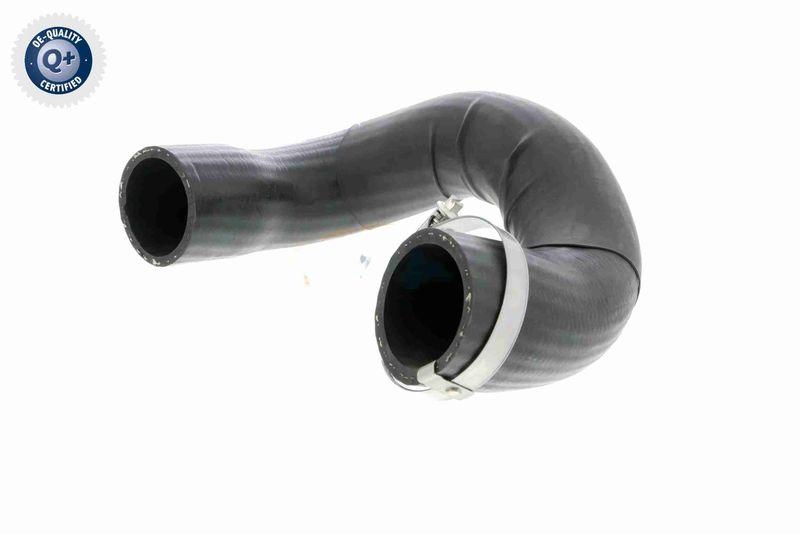 VAICO V46-0849 Ladeluftschlauch f&uuml;r RENAULT