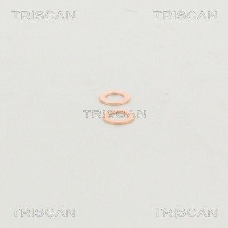 TRISCAN 8150 29132 Bremsschlauch f&uuml;r Vw Golf V,Touran,Seat