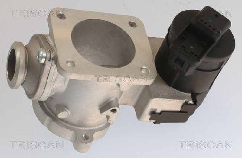 TRISCAN 8813 11020 Agr Ventil f&uuml;r Bmw