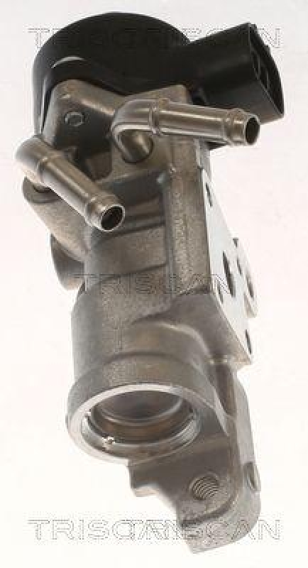 TRISCAN 8813 13070 Agr Ventil f&uuml;r Toyota, Psa