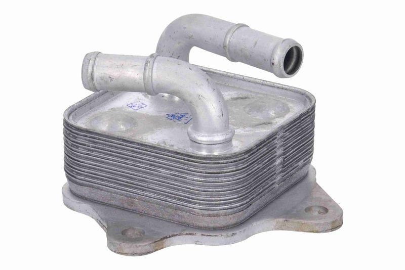 ACKOJA A70-60-0016 Ölkühler, Motoröl für TOYOTA