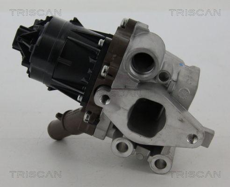 TRISCAN 8813 15207 Agr Ventil f&uuml;r Fiat