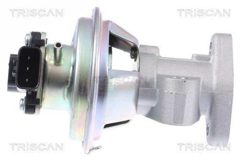 TRISCAN 8813 16069 Agr Ventil f&uuml;r Ford/Landrover