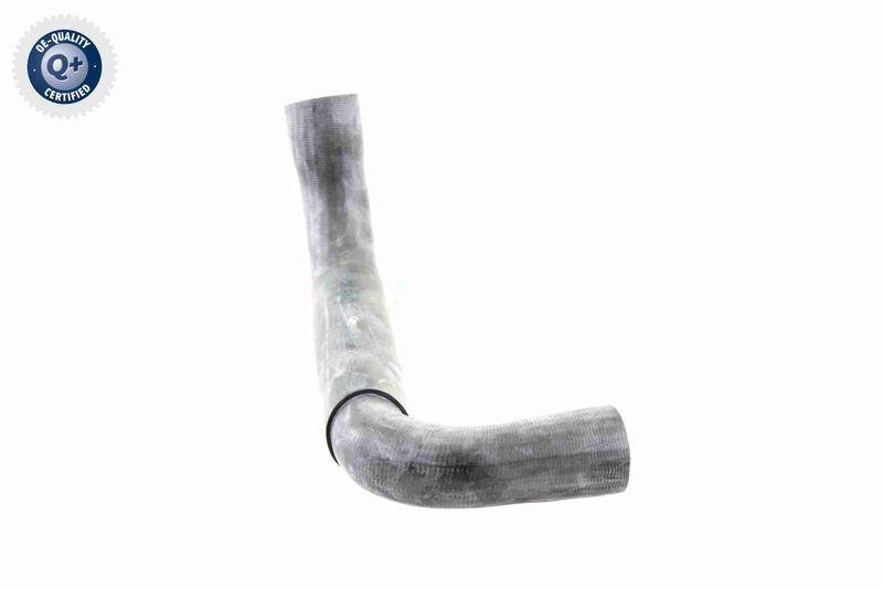 VAICO V30-0718 K&uuml;hlerschlauch K&uuml;hler, Anschlu&szlig; unten f&uuml;r MERCEDES-BENZ