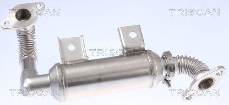 TRISCAN 8813 16103 K&uuml;hler, Abgasr&uuml;ckf&uuml;hrung f&uuml;r Ford