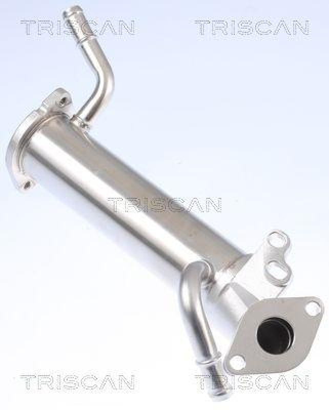 TRISCAN 8813 16110 K&uuml;hler, Abgasr&uuml;ckf&uuml;hrung f&uuml;r Ford