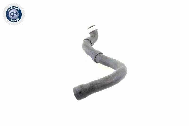 VAICO V30-1661 K&uuml;hlerschlauch K&uuml;hler, Anschlu&szlig; unten f&uuml;r MERCEDES-BENZ