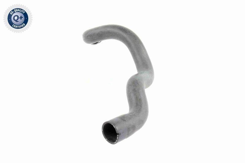 VAICO V30-1663 K&uuml;hlerschlauch K&uuml;hler, Anschlu&szlig; oben f&uuml;r MERCEDES-BENZ