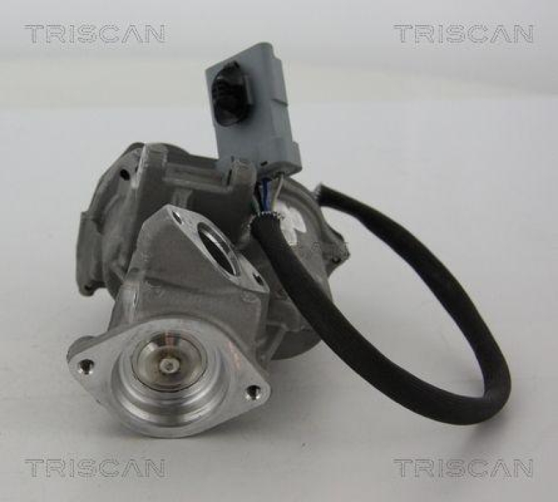 TRISCAN 8813 17019 Agr Ventil f&uuml;r Ford/Landrover