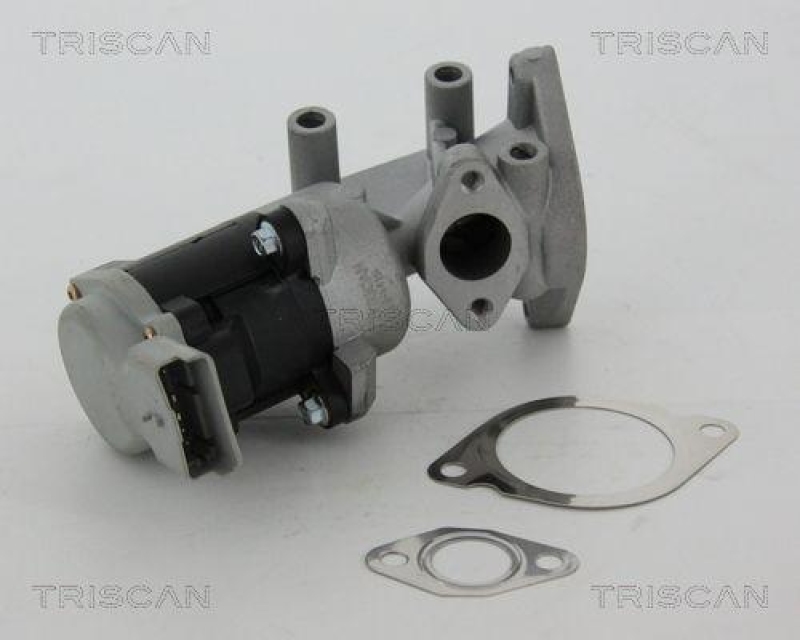 TRISCAN 8813 17020 Agr Ventil f&uuml;r Ford/Landrover