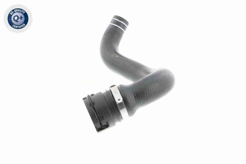 VAICO V24-0822 K&uuml;hlerschlauch f&uuml;r FIAT