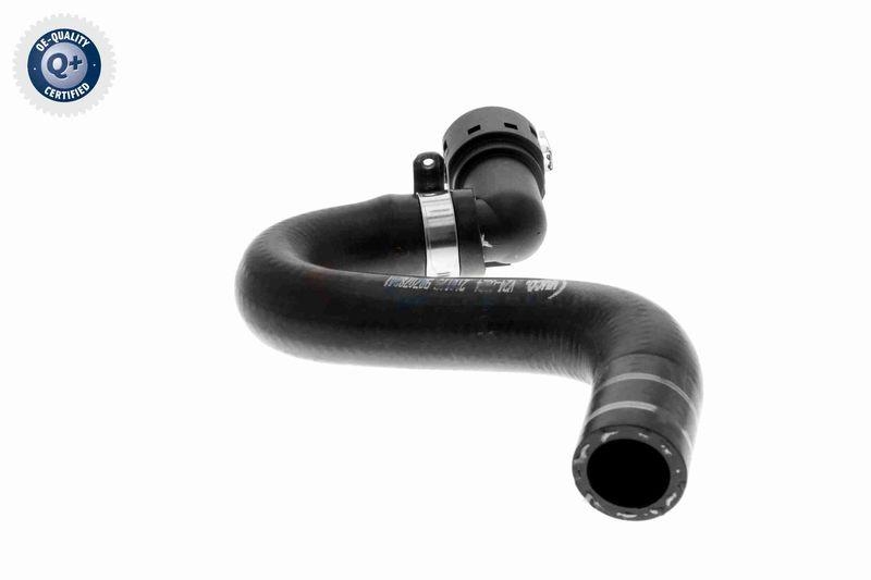 VAICO V24-0824 K&uuml;hlerschlauch f&uuml;r FIAT