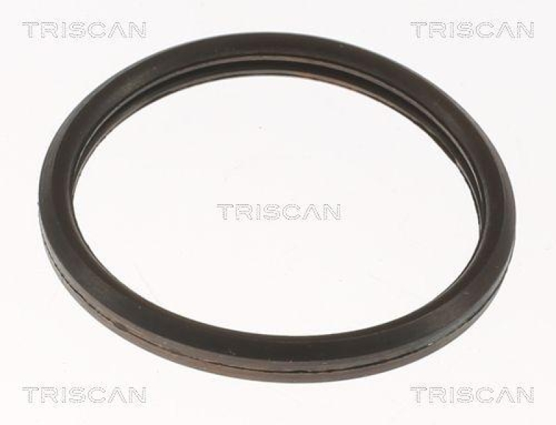 TRISCAN 8620 10582 Thermostat f&uuml;r Ford (1)