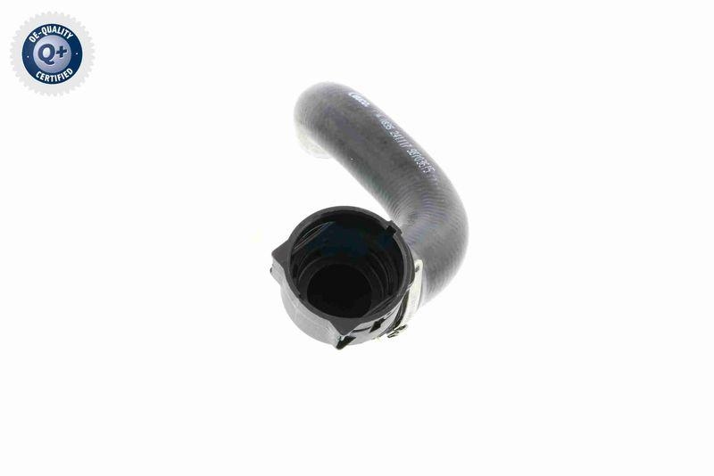 VAICO V24-0835 K&uuml;hlerschlauch f&uuml;r FIAT