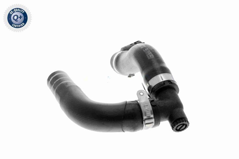 VAICO V24-0845 K&uuml;hlerschlauch f&uuml;r FIAT