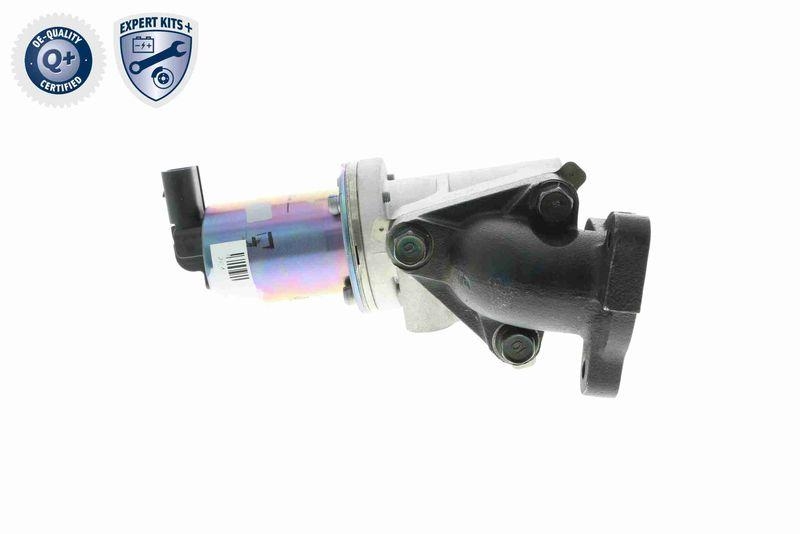 ACKOJA A53-63-0001 AGR-Ventil für HYundAI