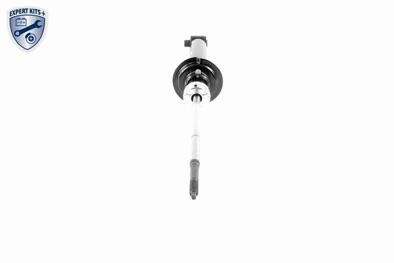 VAICO V10-6445 Sto&szlig;d&auml;mpfer Hinterachse Gasdruck f&uuml;r VW