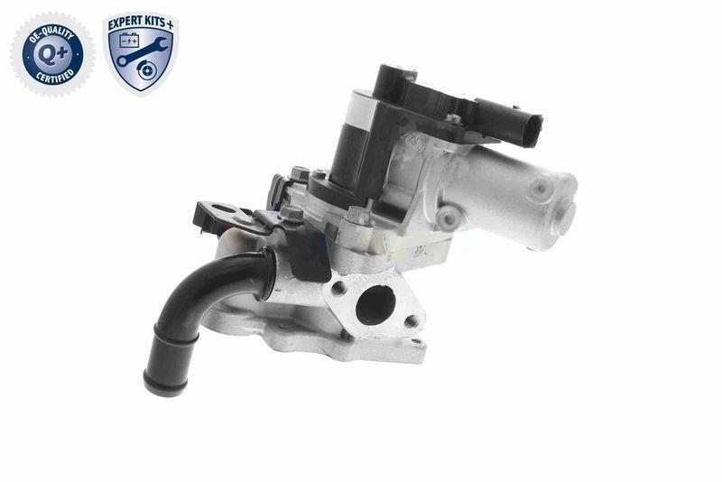 ACKOJA A52-63-0013 AGR-Ventil mit Zwei Dichtungen für HYUNDAI