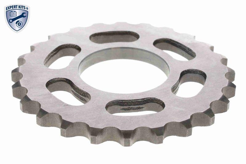 VAICO V10-10019 Steuerkettensatz Kurbel-/ Nockenwelle, Geschlossen für VW