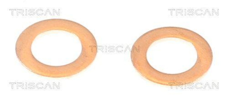 TRISCAN 8150 42143 Bremsschlauch Vorne f&uuml;r Mitsubishi