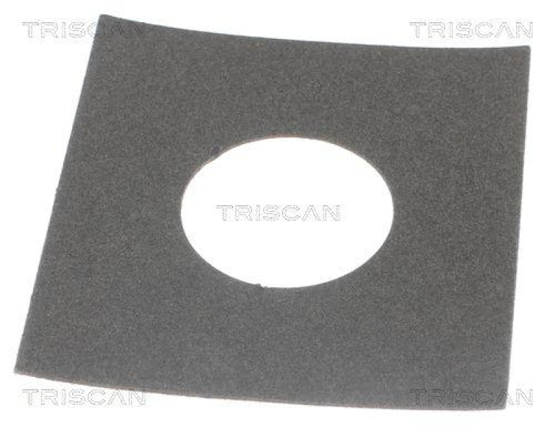 TRISCAN 8620 1388 Thermostat f&uuml;r Citroen (1)