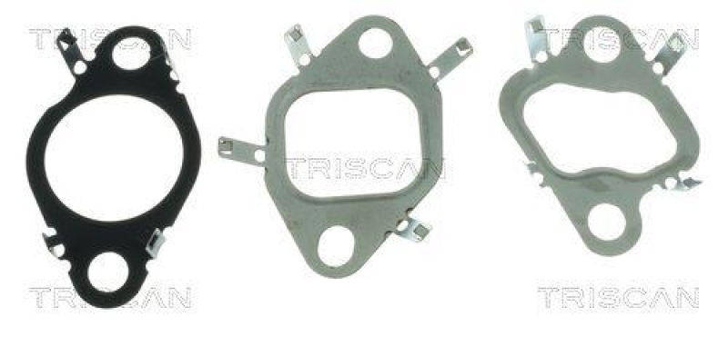 TRISCAN 8813 25048 Agr Ventil f&uuml;r Renault