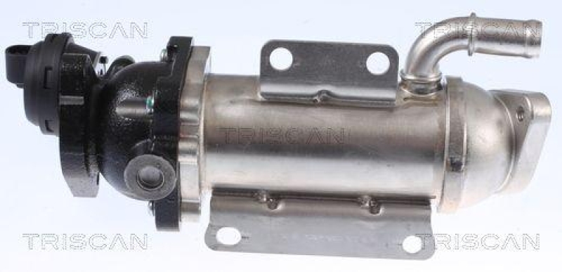 TRISCAN 8813 25101 K&uuml;hler, Abgasr&uuml;ckf&uuml;hrung f&uuml;r Renault