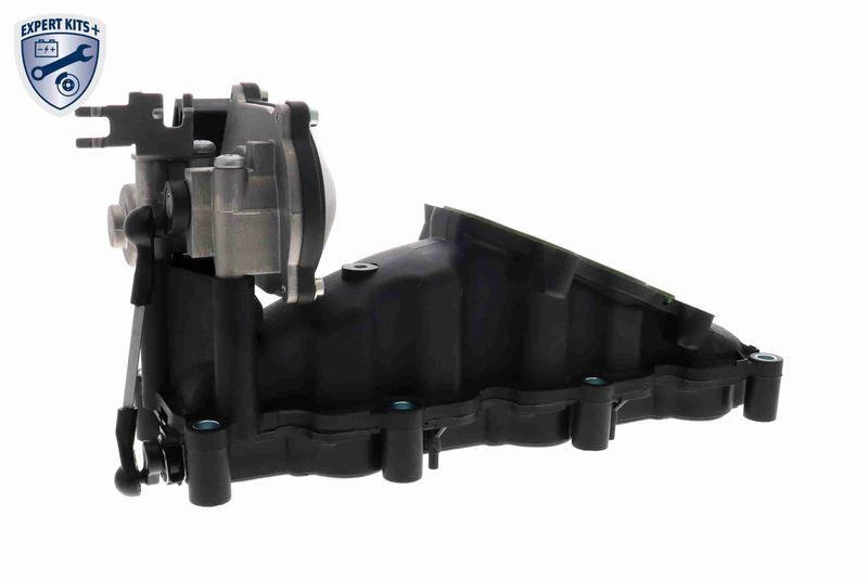 VAICO V10-6483 Saugrohrmodul inkl. Dichtung, rechts f&uuml;r VW