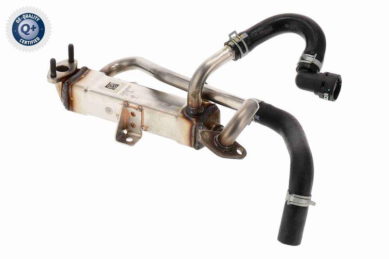 ACKOJA A52-63-0040 K&uuml;hler, Abgasr&uuml;ckf&uuml;hrung f&uuml;r HYundAI